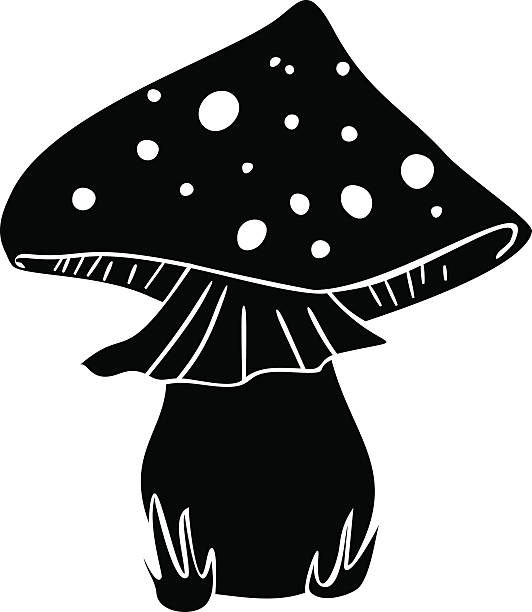 실루엣 플라이에는-agaric - 독우산광대버섯 stock illustrations