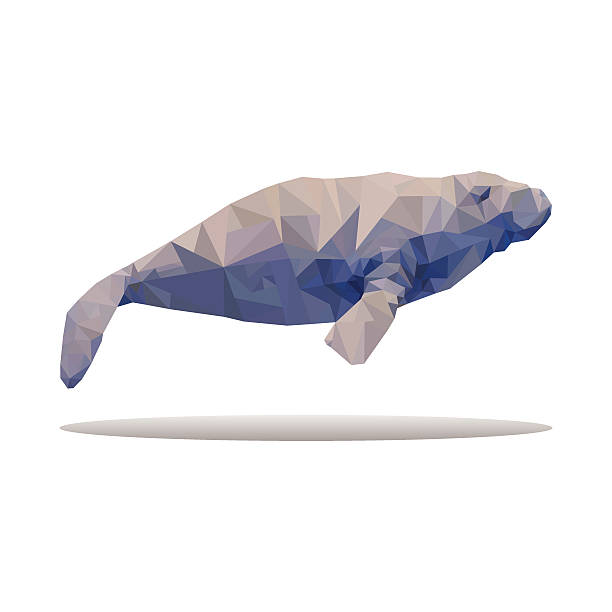 Abstract Manatee 90+ Manatee Abstract Stock Illustrations, Royalty-Free Vector Graphics ...