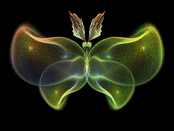 istock Glow of Butterfly 477273577