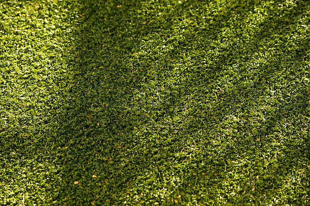 Artificial turf Artificial turf outdoor knot garden stock pictures, royalty-free photos & images