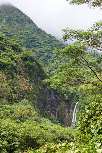 istock Mountain in a fog and falls. Polynesia. Tahiti 477276134