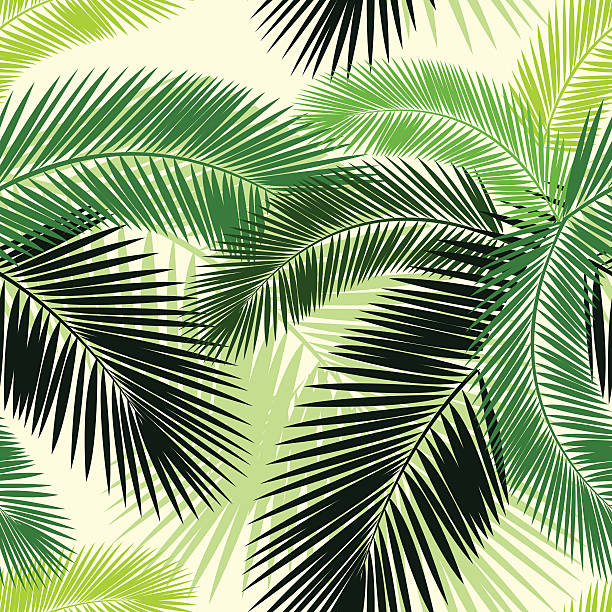 원활한 백색과 팜형 잎 패턴 - fern textured nature tree stock illustrations
