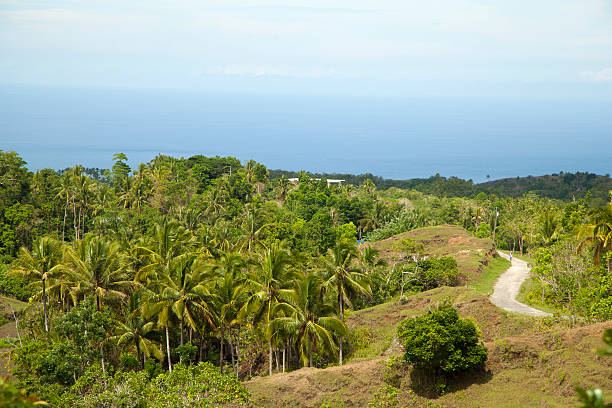 local road local road siquijor island stock pictures, royalty-free photos & images