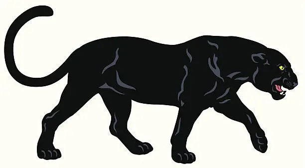 Vector illustration of black panther