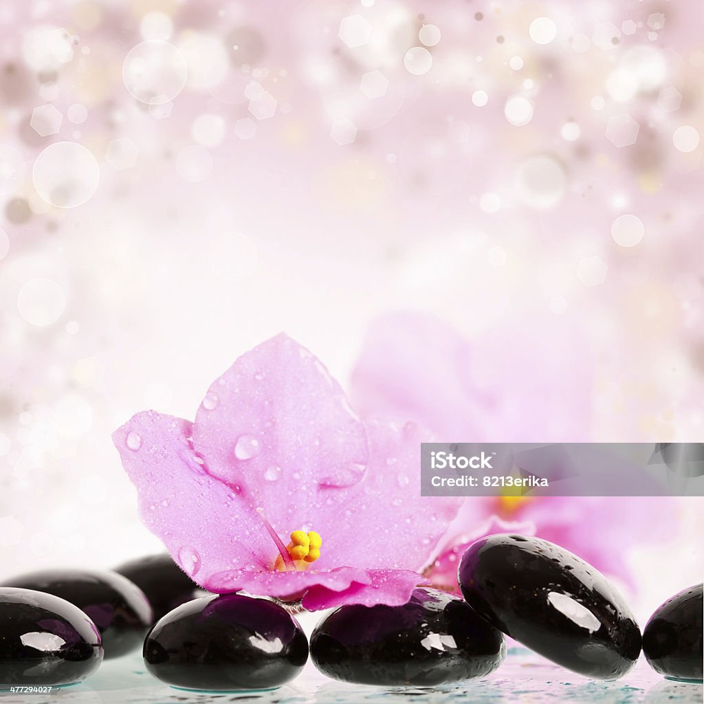 Black spa stones and pink flower Spa stones and pink flower on pink background Alternative Therapy Stock Photo