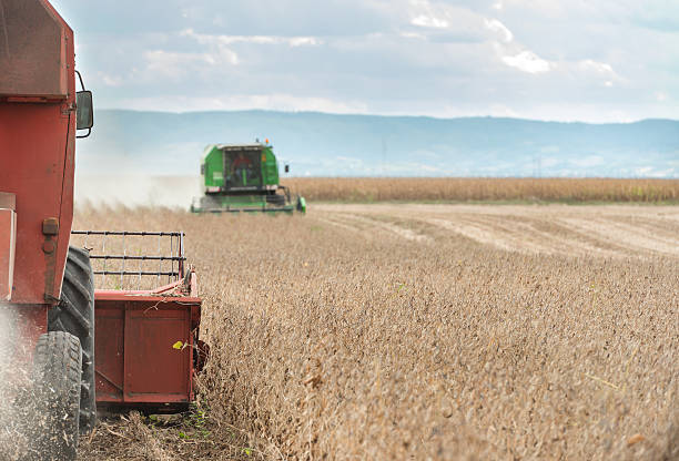 istock Harvesting of soy bean field 477295085