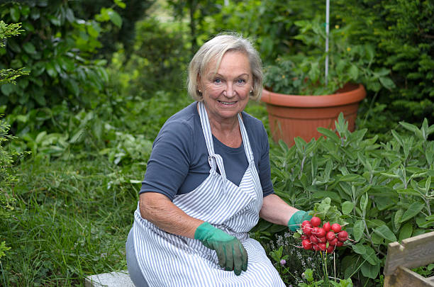 istock Senior Lady at the Garden Holding radishes 477296830