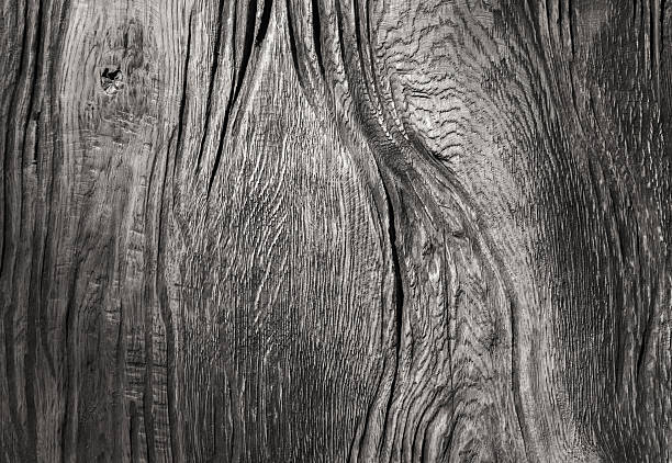 istock Background texture of old gray weathered wooden board 477300413