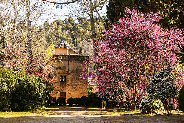 istock Gardens of La Alhambra in Granada, Spain 477303057