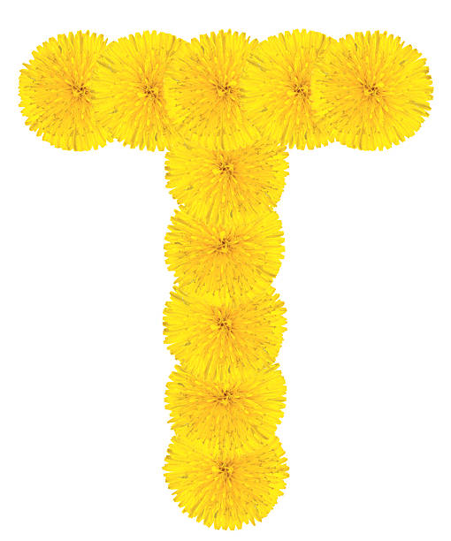 Flowery Grassy Deny Mark Symbol Shape Isolated on White Background 3D Illustration