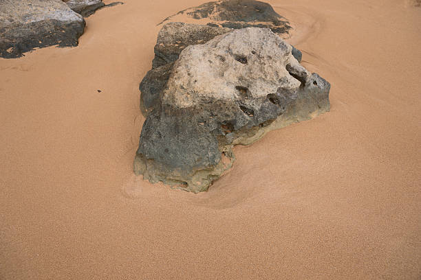 istock Stones on a sandy beach in the Caribbean 477304598