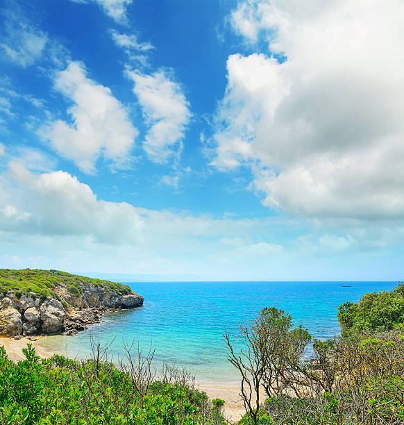 istock colorful shoreline under a cloudy sky in Alghero 477304956