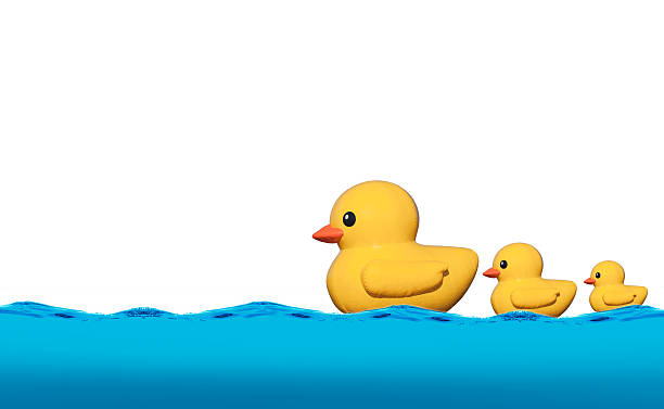 istock Three yellow rubber duck on the water. 477305004