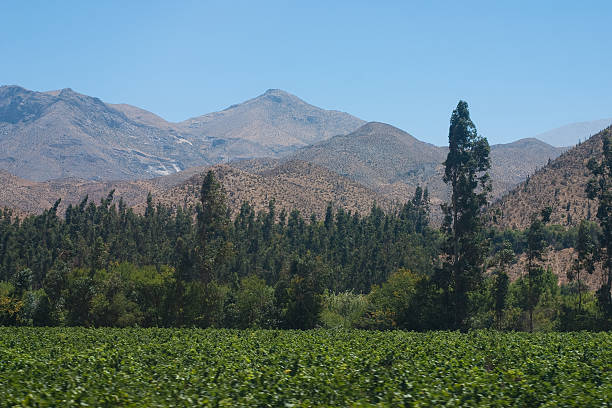 Landscape of Chile