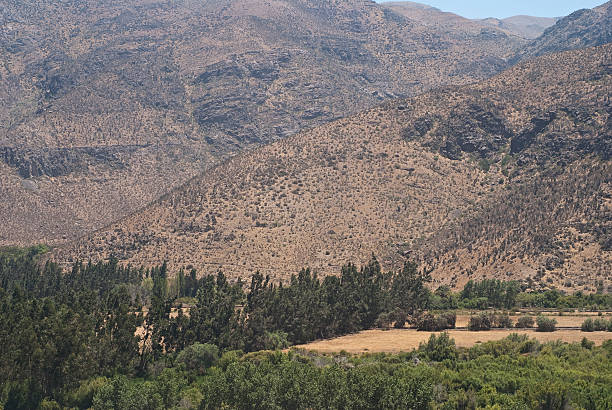 istock Landscape of Chile 477309143
