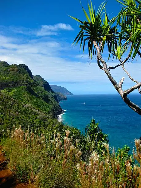 View of the Na Pali Coastline, Kauai from the Kalalau Trail 