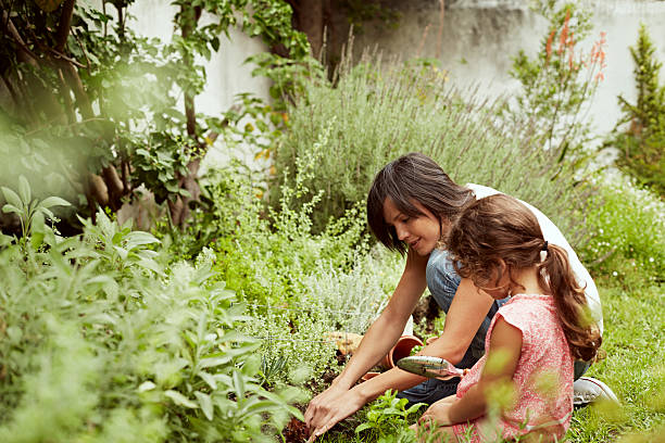 mother and daughter gardening - familie mit einem kind stock-fotos und bilder