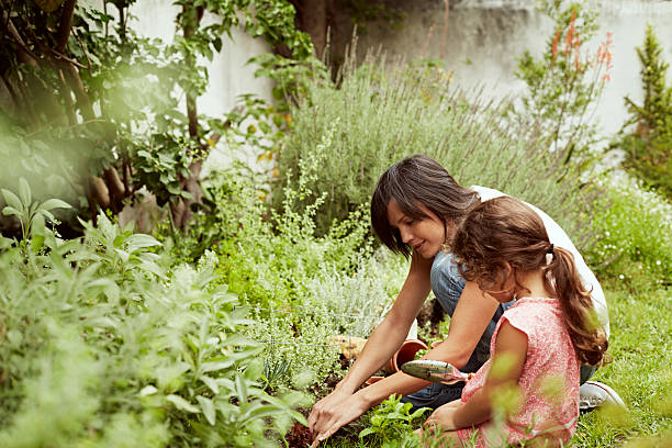 mother and daughter gardening - horticulture foto e immagini stock