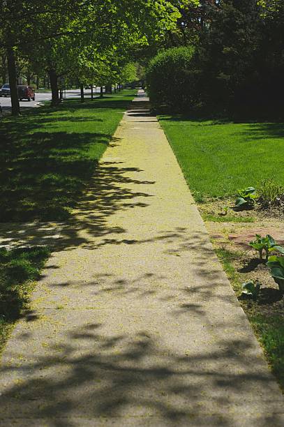 Sidewalk in Spring stock photo