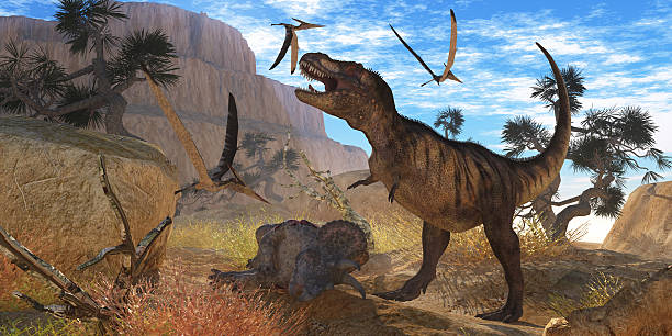 istock Tyrannosaurus Meeting 477311109