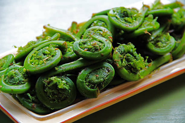 Fresh Fiddleheads Fresh fiddleheads or fiddlehead greens harvested in Maine fiddle head stock pictures, royalty-free photos & images