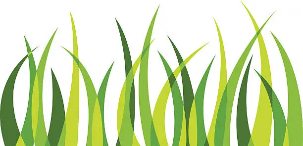 Vector illustration of Grass 4