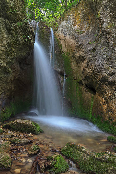 istock stream in Gorge Tasnei. Baile Herculane, Romania 477321725