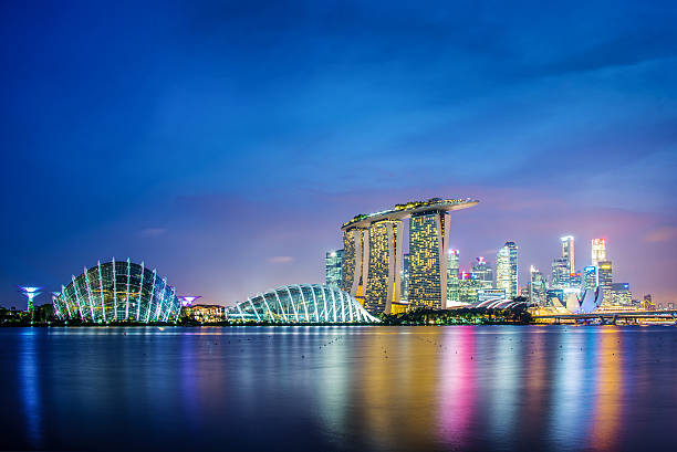 город сингапур skyline в ночь - formal garden ornamental garden lighting equipment night стоковые фото и изображения