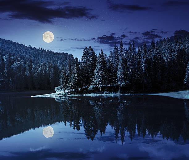 istock lake near the mountain in pine forest at night 477323320
