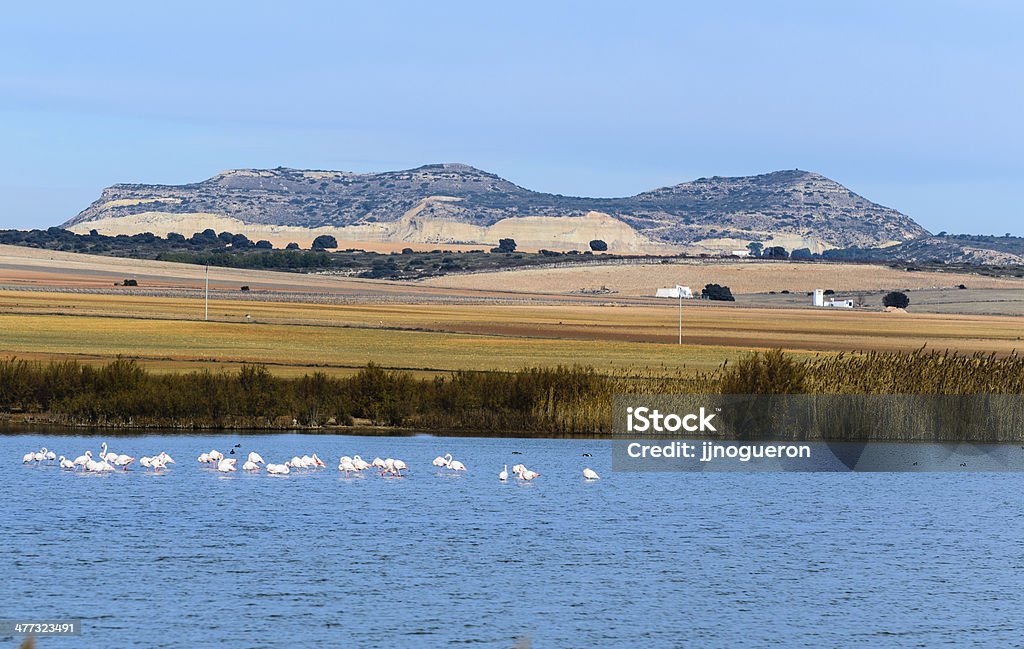 Paisaje de Otoño - Foto de stock de Espanha royalty-free