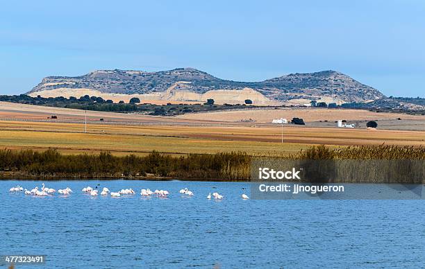 Foto de Paisaje De Otoño e mais fotos de stock de Espanha - Espanha, Flamingo, Fotografia - Imagem