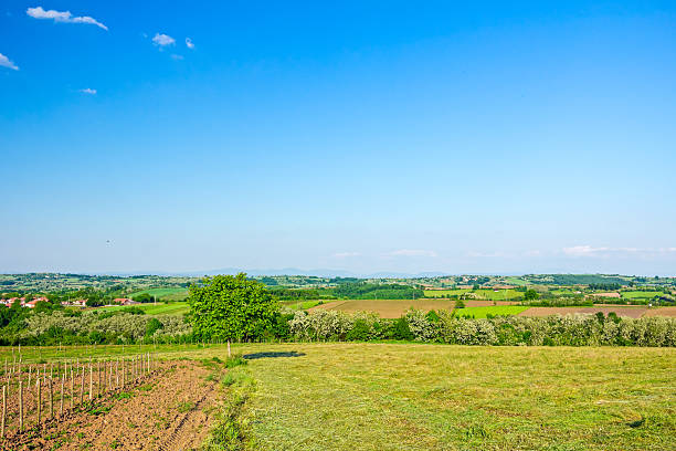 istock Agricultural fields in hilly landscape 477330250