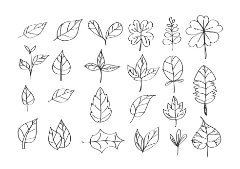 leaves design elements