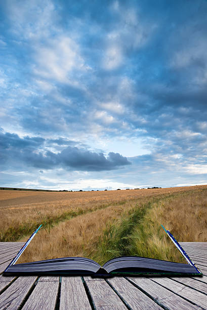 istock Stunning wheat field landscape under Summer stormy sunset sky co 477338420