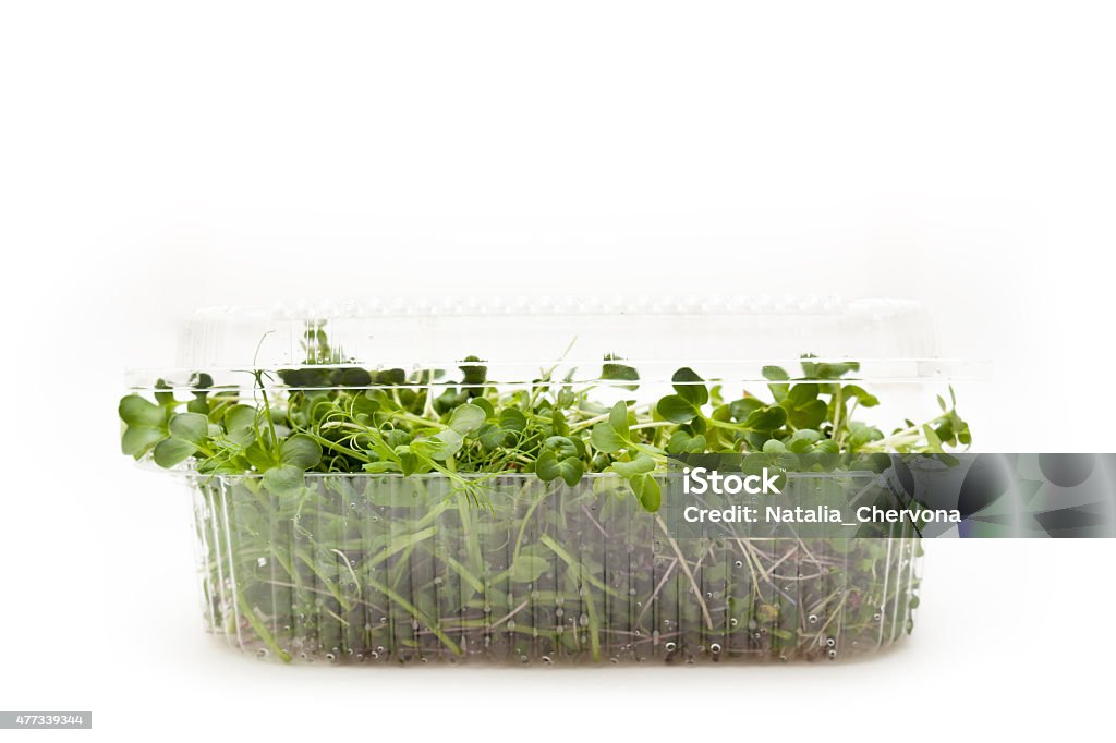 Micro greens Microgreens in a box ready to delivery Green Pea Stock Photo