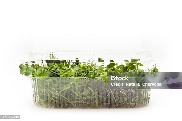 Micro Greens Stock Photo - Download Image Now - Green Pea, Spraying, 2015