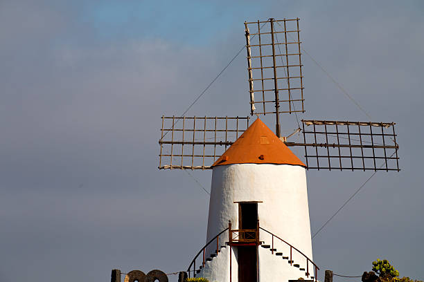 istock cactus windmills in  isle   lanzarote africa 477339541