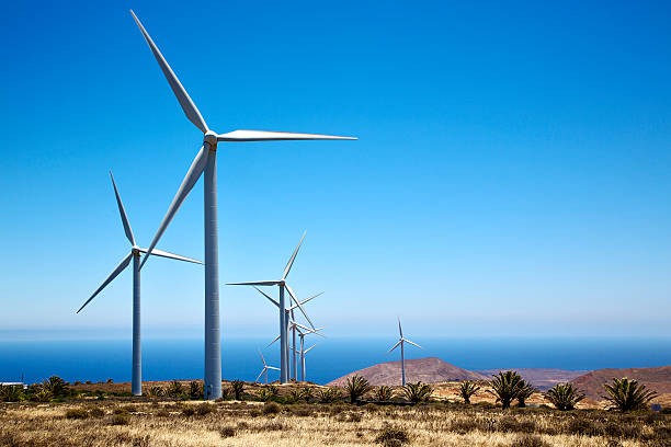 afrique winturbines et le ciel en est - lanzarote canary islands volcano green photos et images de collection