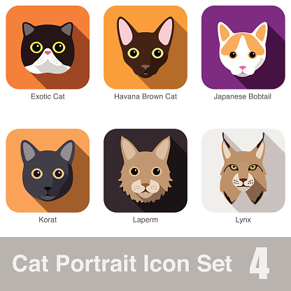 Cat breed face cartoon flat icon design