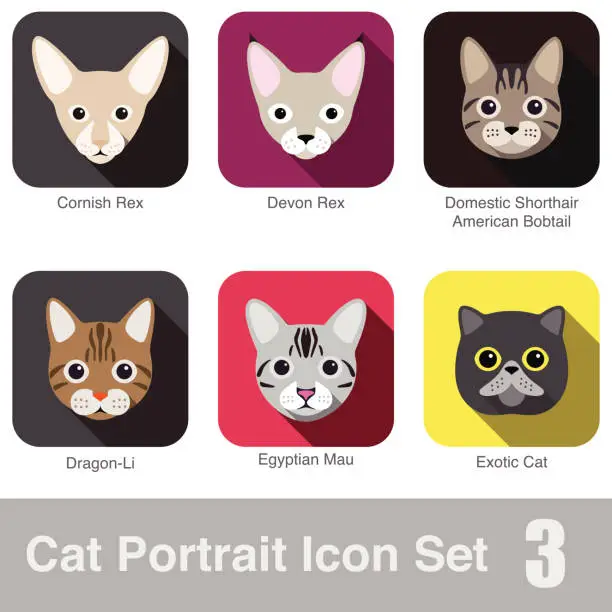 Vector illustration of Cat breed face cartoon flat icon series