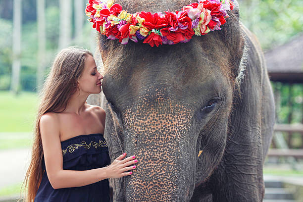 istock Model woman hugging a big elephant 477343294