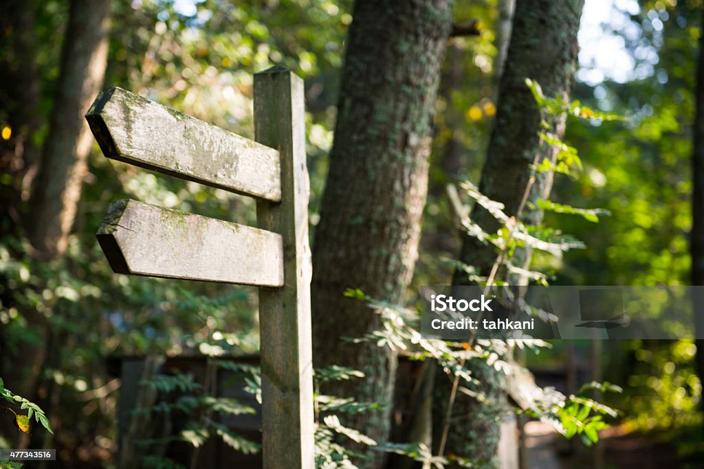Empty walking path sign Empty wooden walking path sign in the forests of Finland. Directional Sign Stock Photo