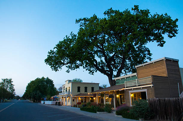 Evening sky, gigantic tree in the town Los Olivos. stock photo