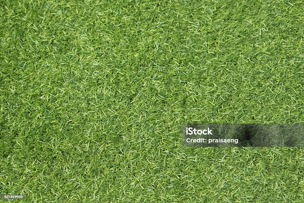 Turf Background Portrait Artificial Turf Background Stock Photo - Download Image Now - 2015 ...