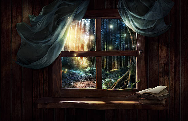 Magic window with fairy forest stock photo