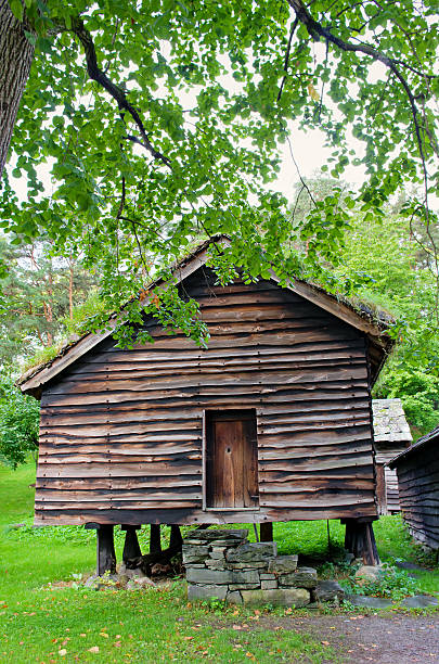 istock Traditional Norwegian House with grass roof. 477350562