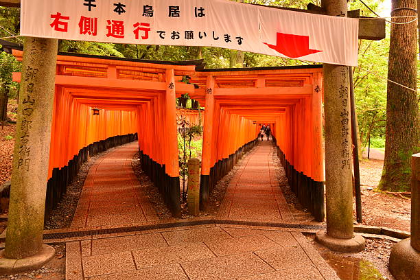 túnel do torii portões do santuário fushimi inari, kyoto - toyotomi hideyoshi - fotografias e filmes do acervo