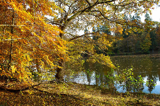 istock beautiful autumn landscape 477355359