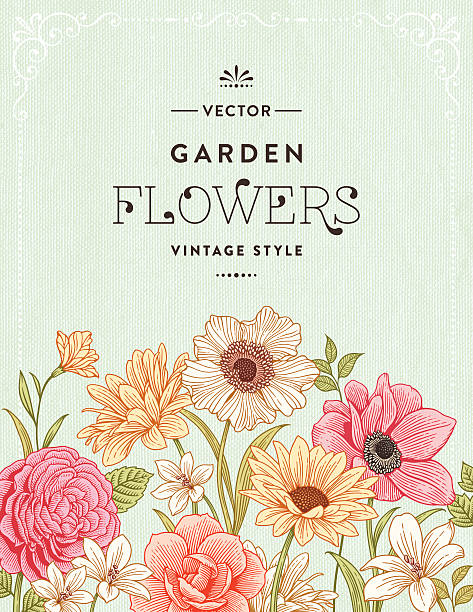 illustrations, cliparts, dessins animés et icônes de fleuri vintage frame - rose single flower flower stem