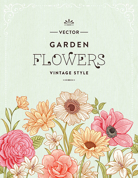 винтажная рамка с цветочным рисунком - wedding invitation rose flower floral pattern stock illustrations